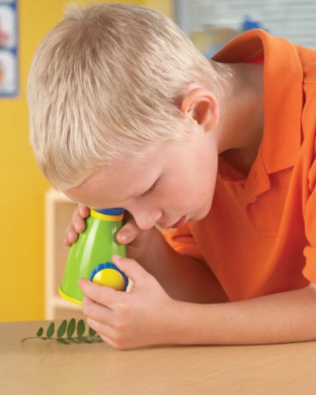 Learning Resources – Vědecký mikroskop